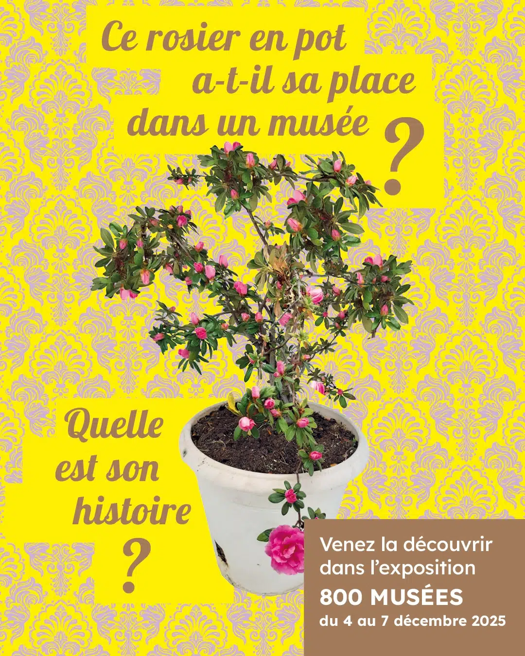 800 musées : les objets nous racontent ! (exposition) 800 musées : les objets nous racontent ! (exposition)